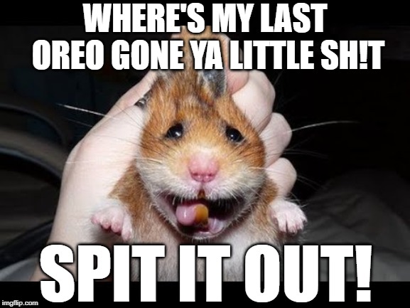 WHERE'S MY LAST OREO GONE YA LITTLE SH!T SPIT IT OUT! | made w/ Imgflip meme maker