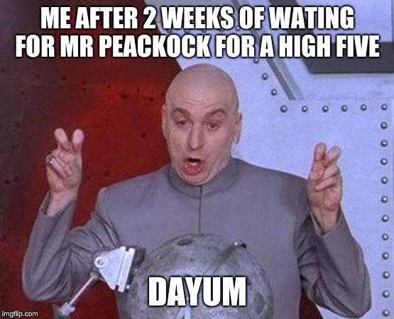 Dr Evil Laser Meme | ME AFTER 2 WEEKS OF WATING FOR MR PEACKOCK FOR A HIGH FIVE; DAYUM | image tagged in memes,dr evil laser | made w/ Imgflip meme maker