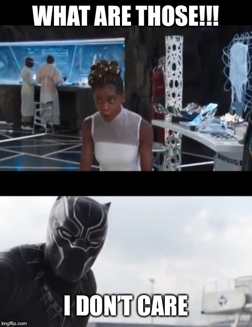 I don’t Care Shuri | WHAT ARE THOSE!!! I DON’T CARE | image tagged in black panther,what are those | made w/ Imgflip meme maker