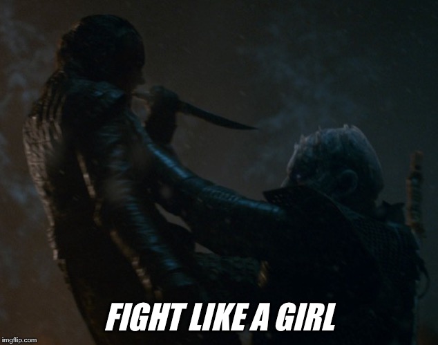 FIGHT LIKE A GIRL | image tagged in got | made w/ Imgflip meme maker