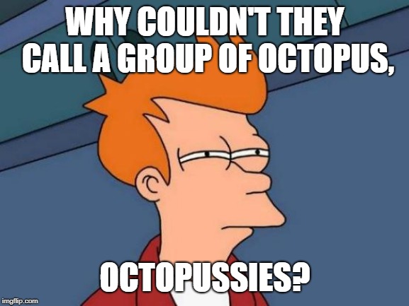 Futurama Fry Meme | WHY COULDN'T THEY CALL A GROUP OF OCTOPUS, OCTOPUSSIES? | image tagged in memes,futurama fry | made w/ Imgflip meme maker