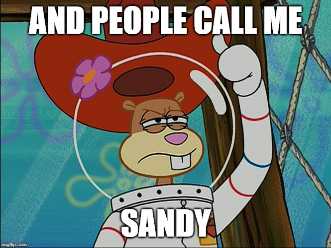 Sandy Cheeks | AND PEOPLE CALL ME SANDY | image tagged in sandy cheeks | made w/ Imgflip meme maker