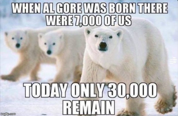 Global Warming? | TODAY ONLY 30,000 OF US REMAIN; WHEN AL GORE WAS BORN THERE WERE 7,000 OF US | image tagged in vince vance,ice caps melting,al gore,polar bears,extinction,a reversal of global warming | made w/ Imgflip meme maker