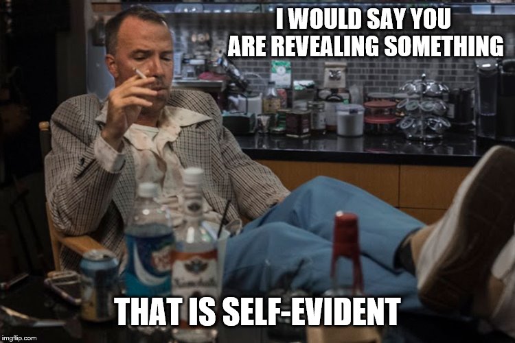 I WOULD SAY YOU ARE REVEALING SOMETHING THAT IS SELF-EVIDENT | made w/ Imgflip meme maker