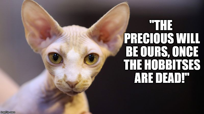 smeagol cat | "THE PRECIOUS WILL BE OURS, ONCE THE HOBBITSES ARE DEAD!" | image tagged in cats,funny cat memes,lord of the rings,smeagol,frodo | made w/ Imgflip meme maker