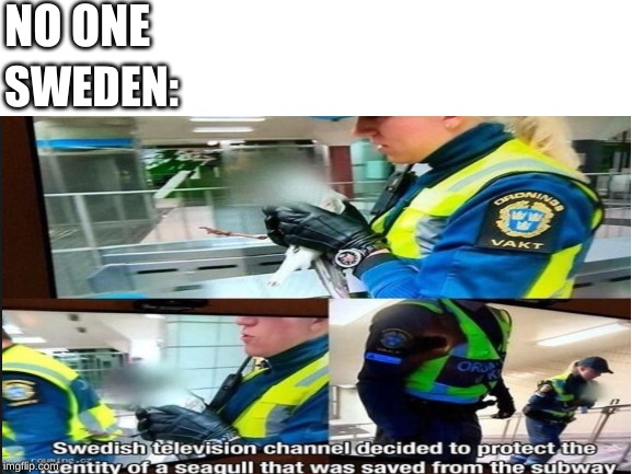 NO ONE; SWEDEN: | image tagged in really | made w/ Imgflip meme maker