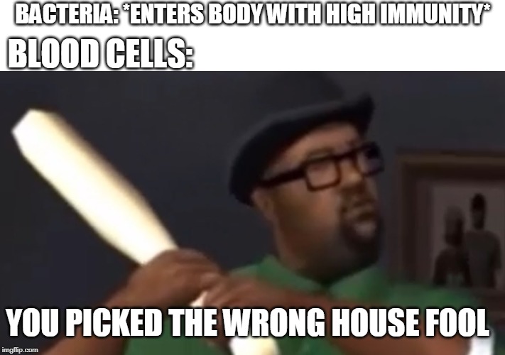 big smoke | BACTERIA: *ENTERS BODY WITH HIGH IMMUNITY*; BLOOD CELLS:; YOU PICKED THE WRONG HOUSE FOOL | image tagged in big smoke | made w/ Imgflip meme maker