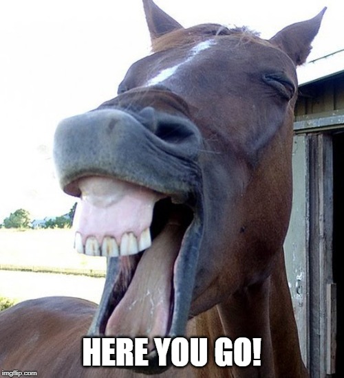 Funny Horse Face | HERE YOU GO! | image tagged in funny horse face | made w/ Imgflip meme maker