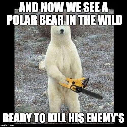 Chainsaw Bear | AND NOW WE SEE A POLAR BEAR IN THE WILD; READY TO KILL HIS ENEMY'S | image tagged in memes,chainsaw bear | made w/ Imgflip meme maker