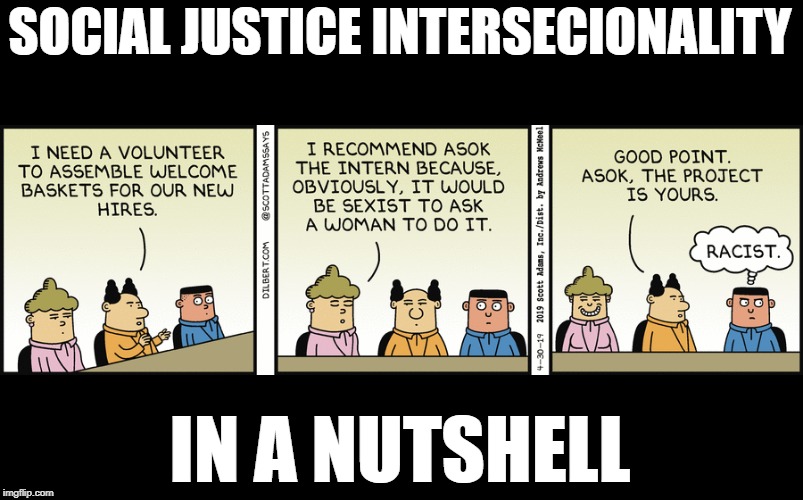 SOCIAL JUSTICE INTERSECIONALITY; IN A NUTSHELL | image tagged in dilbert,racism,sexism | made w/ Imgflip meme maker