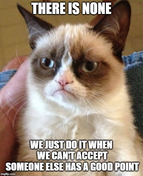Grumpy Cat Meme | THERE IS NONE WE JUST DO IT WHEN WE CAN'T ACCEPT SOMEONE ELSE HAS A GOOD POINT | image tagged in memes,grumpy cat | made w/ Imgflip meme maker