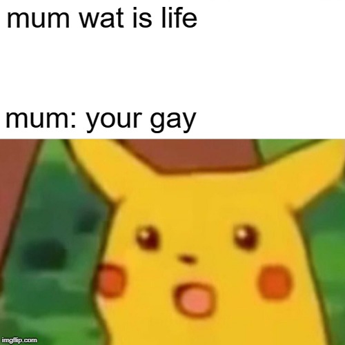 Surprised Pikachu | mum wat is life; mum: your gay | image tagged in memes,surprised pikachu | made w/ Imgflip meme maker