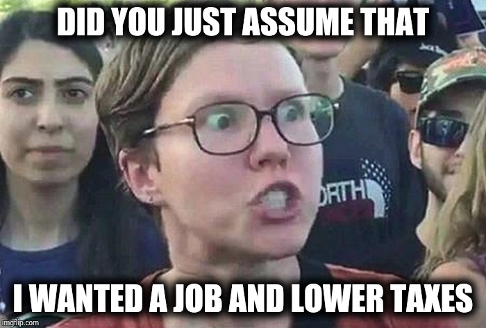 Triggered Liberal | DID YOU JUST ASSUME THAT I WANTED A JOB AND LOWER TAXES | image tagged in triggered liberal | made w/ Imgflip meme maker