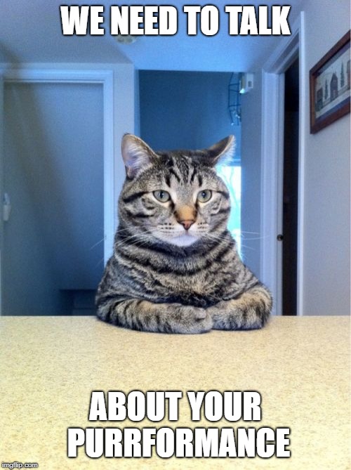 Take A Seat Cat Meme | WE NEED TO TALK; ABOUT YOUR PURRFORMANCE | image tagged in memes,take a seat cat | made w/ Imgflip meme maker