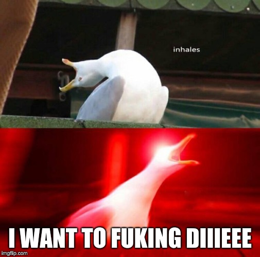 Inhaling Seagull  | I WANT TO FUKING DIIIEEE | image tagged in inhaling seagull | made w/ Imgflip meme maker