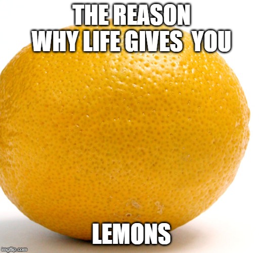 lemons | THE REASON WHY LIFE GIVES  YOU; LEMONS | image tagged in funny | made w/ Imgflip meme maker