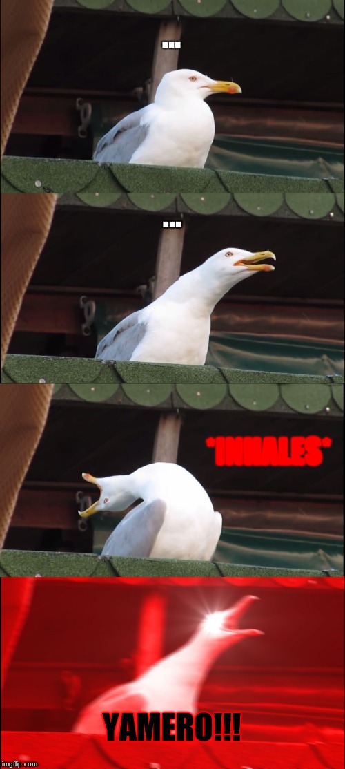 Inhaling Seagull Meme | ... ... *INHALES*; YAMERO!!! | image tagged in memes,inhaling seagull | made w/ Imgflip meme maker