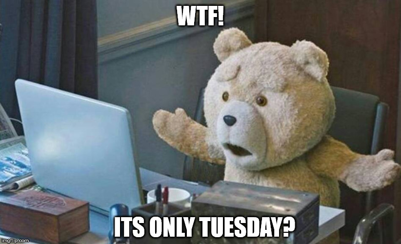 Tuesday Blues | WTF! ITS ONLY TUESDAY? | image tagged in what do you mean,tuesday,work sucks,teddy,teddy bear | made w/ Imgflip meme maker