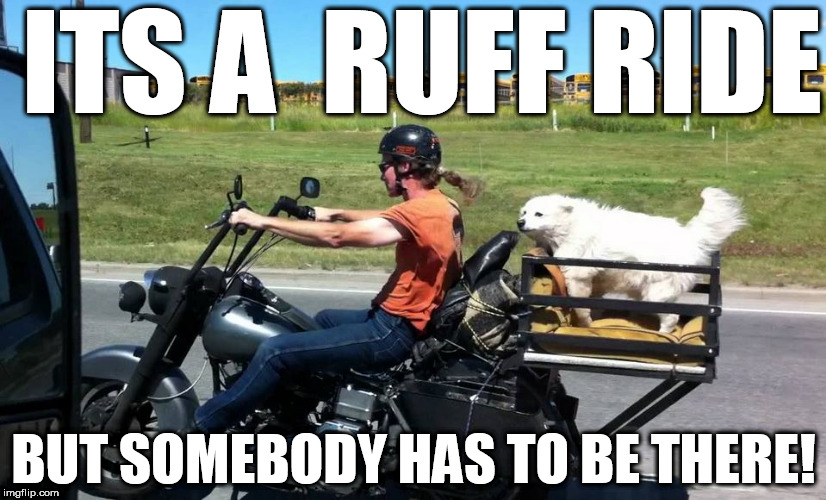 life can be  RUFF! | ITS A  RUFF RIDE; BUT SOMEBODY HAS TO BE THERE! | image tagged in life can get hard,it can be ruff,ride hard | made w/ Imgflip meme maker