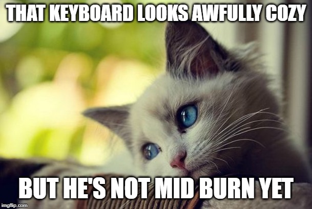 First World Problems Cat Meme | THAT KEYBOARD LOOKS AWFULLY COZY; BUT HE'S NOT MID BURN YET | image tagged in memes,first world problems cat | made w/ Imgflip meme maker