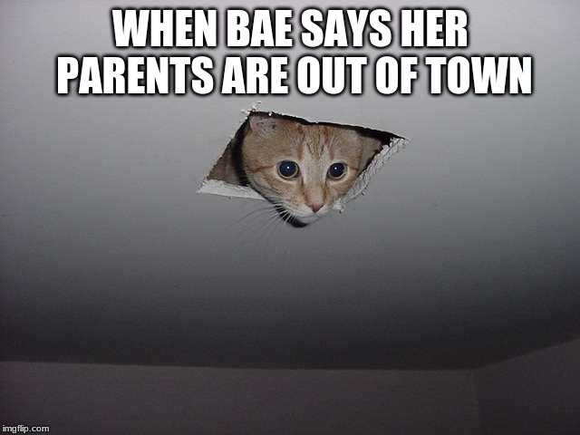 WHEN BAE SAYS HER PARENTS ARE OUT OF TOWN | image tagged in out of town | made w/ Imgflip meme maker