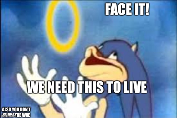 The truth | FACE IT! WE NEED THIS TO LIVE; ALSO YOU DON’T KNOW THE WAE | image tagged in sonic | made w/ Imgflip meme maker