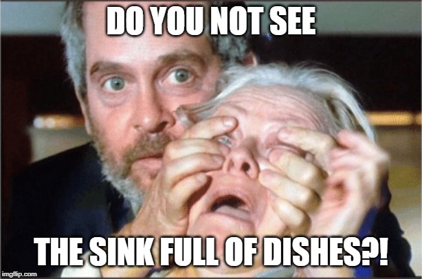 Bird box eyes open | DO YOU NOT SEE; THE SINK FULL OF DISHES?! | image tagged in bird box eyes open | made w/ Imgflip meme maker
