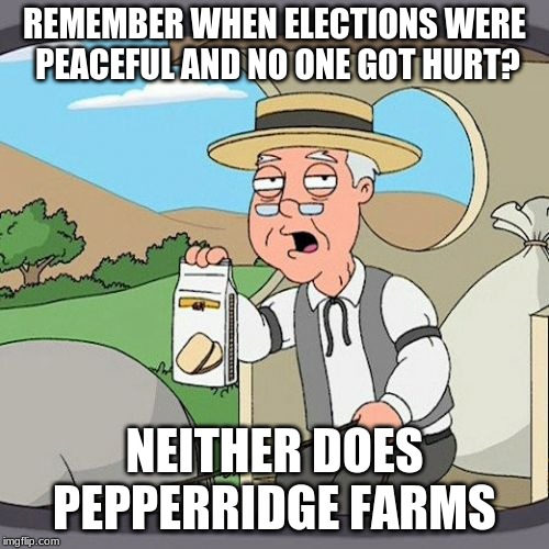 Pepperidge Farm Remembers | REMEMBER WHEN ELECTIONS WERE PEACEFUL AND NO ONE GOT HURT? NEITHER DOES PEPPERRIDGE FARMS | image tagged in memes,pepperidge farm remembers | made w/ Imgflip meme maker