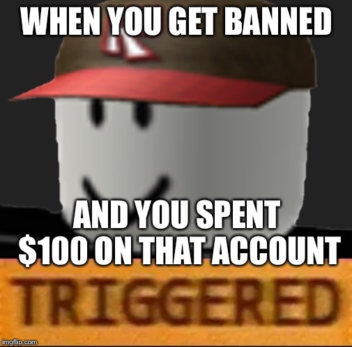 Roblox Triggered | WHEN YOU GET BANNED AND YOU SPENT $100 ON THAT ACCOUNT | image tagged in roblox triggered | made w/ Imgflip meme maker