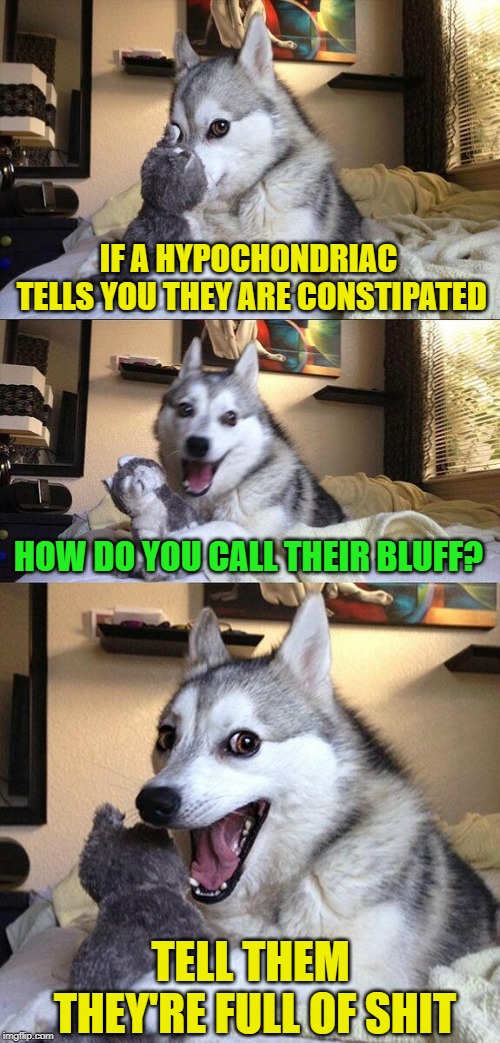 Whether they are or not, you're right! | IF A HYPOCHONDRIAC TELLS YOU THEY ARE CONSTIPATED; HOW DO YOU CALL THEIR BLUFF? TELL THEM THEY'RE FULL OF SHIT | image tagged in memes,bad pun dog,hypocondriac,constipation | made w/ Imgflip meme maker