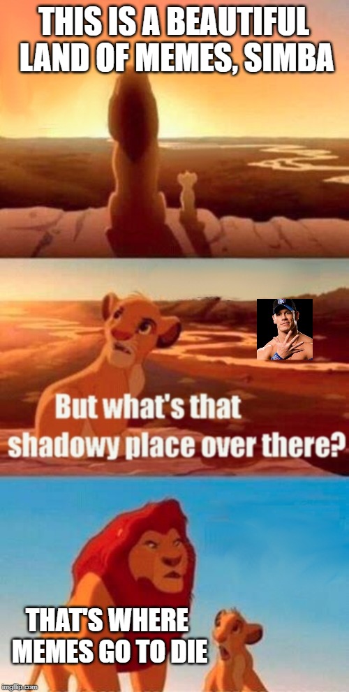 Simba Shadowy Place Meme | THIS IS A BEAUTIFUL LAND OF MEMES, SIMBA; THAT'S WHERE MEMES GO TO DIE | image tagged in memes,simba shadowy place | made w/ Imgflip meme maker
