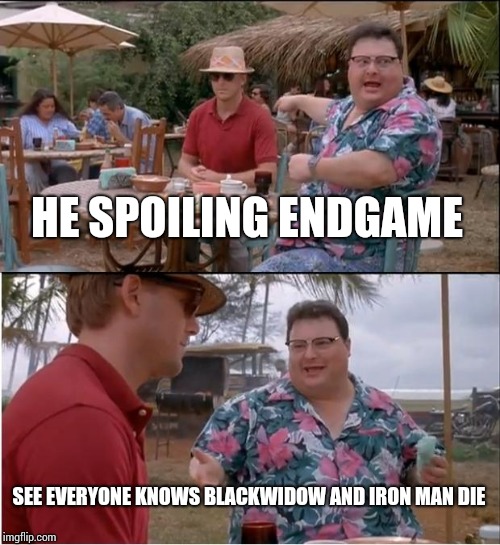 See Nobody Cares | HE SPOILING ENDGAME; SEE EVERYONE KNOWS BLACKWIDOW AND IRON MAN DIE | image tagged in memes,see nobody cares | made w/ Imgflip meme maker
