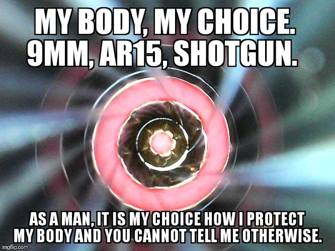 My body, my choice | image tagged in pro choice,2nd amendment | made w/ Imgflip meme maker