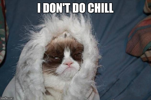 grumpy cat winter | I DON'T DO CHILL | image tagged in grumpy cat winter | made w/ Imgflip meme maker