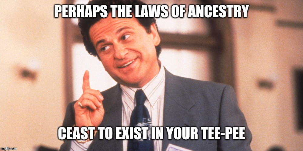 My Cousin Vinny | PERHAPS THE LAWS OF ANCESTRY CEAST TO EXIST IN YOUR TEE-PEE | image tagged in my cousin vinny | made w/ Imgflip meme maker