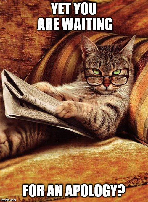 cat reading | YET YOU ARE WAITING FOR AN APOLOGY? | image tagged in cat reading | made w/ Imgflip meme maker