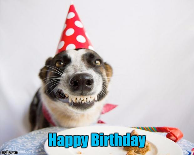 birthday dog | Happy Birthday | image tagged in birthday dog | made w/ Imgflip meme maker