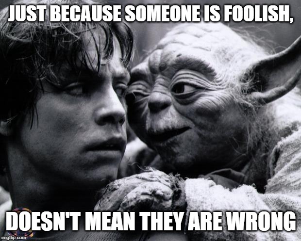 Yoda & Luke | JUST BECAUSE SOMEONE IS FOOLISH, DOESN'T MEAN THEY ARE WRONG | image tagged in yoda  luke | made w/ Imgflip meme maker