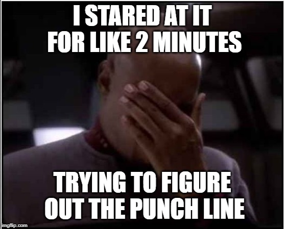Sisko Facepalm | I STARED AT IT FOR LIKE 2 MINUTES TRYING TO FIGURE OUT THE PUNCH LINE | image tagged in sisko facepalm | made w/ Imgflip meme maker