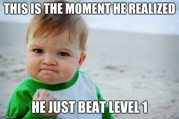 success kid | THIS IS THE MOMENT HE REALIZED; HE JUST BEAT LEVEL 1 | image tagged in success kid | made w/ Imgflip meme maker