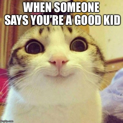 Smiling Cat | WHEN SOMEONE SAYS YOU’RE A GOOD KID | image tagged in memes,smiling cat | made w/ Imgflip meme maker