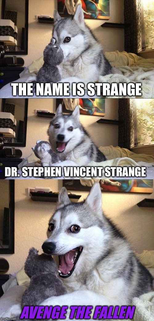 Bad Pun Dog | THE NAME IS STRANGE; DR. STEPHEN VINCENT STRANGE; AVENGE THE FALLEN | image tagged in memes,bad pun dog,fun,repost,avengers endgame,avenge the fallen | made w/ Imgflip meme maker