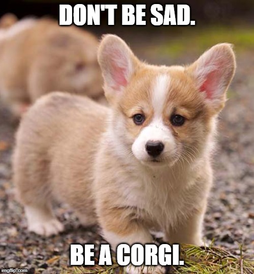 Happiness Corgi | DON'T BE SAD. BE A CORGI. | image tagged in happiness corgi | made w/ Imgflip meme maker