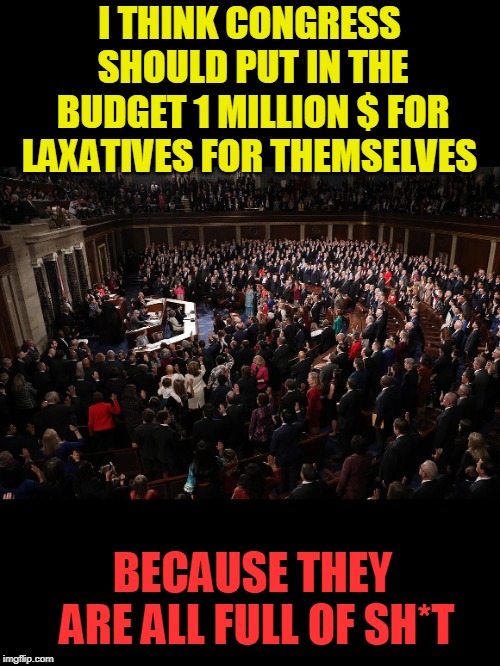 full of it | I THINK CONGRESS SHOULD PUT IN THE BUDGET 1 MILLION $ FOR LAXATIVES FOR THEMSELVES; BECAUSE THEY ARE ALL FULL OF SH*T | image tagged in congress,full of crap | made w/ Imgflip meme maker