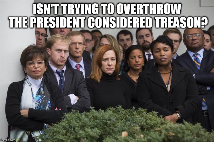 treason | ISN'T TRYING TO OVERTHROW THE PRESIDENT CONSIDERED TREASON? | image tagged in treason | made w/ Imgflip meme maker