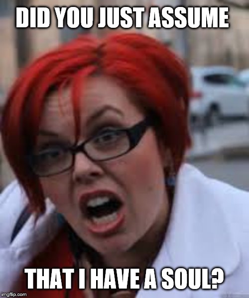 SJW Triggered | DID YOU JUST ASSUME THAT I HAVE A SOUL? | image tagged in sjw triggered | made w/ Imgflip meme maker