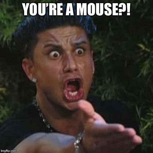 Angry Guido | YOU’RE A MOUSE?! | image tagged in angry guido | made w/ Imgflip meme maker