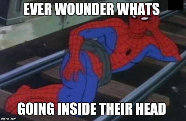 Sexy Railroad Spiderman | EVER WOUNDER WHATS; GOING INSIDE THEIR HEAD | image tagged in memes,sexy railroad spiderman,spiderman | made w/ Imgflip meme maker