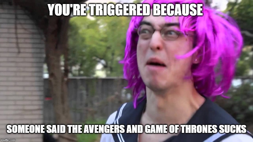 Triggerd | YOU'RE TRIGGERED BECAUSE; SOMEONE SAID THE AVENGERS AND GAME OF THRONES SUCKS | image tagged in triggerd | made w/ Imgflip meme maker