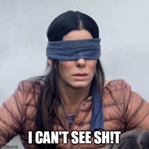 Sandra Bullock Blindfolded | I CAN'T SEE SH!T | image tagged in sandra bullock blindfolded | made w/ Imgflip meme maker